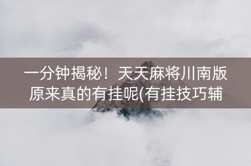 一分钟揭秘！天天麻将川南版原来真的有挂呢(有挂技巧辅助器)