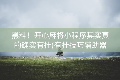 黑料！开心麻将小程序其实真的确实有挂(有挂技巧辅助器)