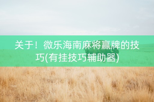 关于！微乐海南麻将赢牌的技巧(有挂技巧辅助器)