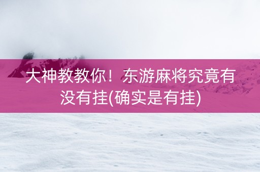 大神教教你！东游麻将究竟有没有挂(确实是有挂)
