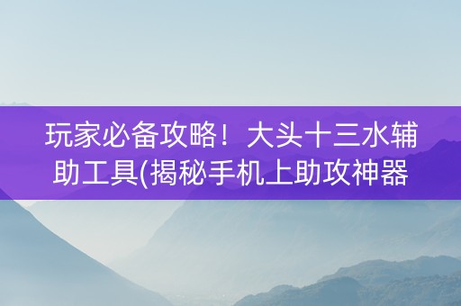 玩家必备攻略！大头十三水辅助工具(揭秘手机上助攻神器)