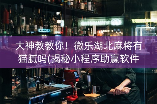 大神教教你！微乐湖北麻将有猫腻吗(揭秘小程序助赢软件)