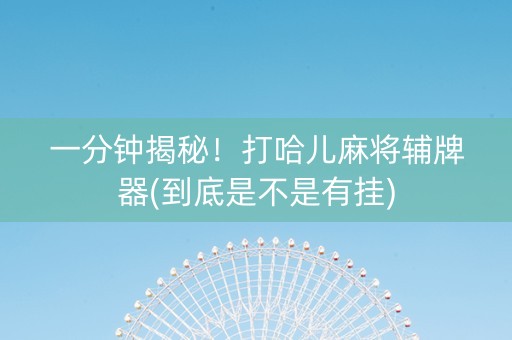 一分钟揭秘！打哈儿麻将辅牌器(到底是不是有挂)