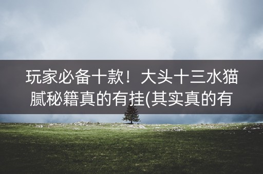 玩家必备十款！大头十三水猫腻秘籍真的有挂(其实真的有挂)