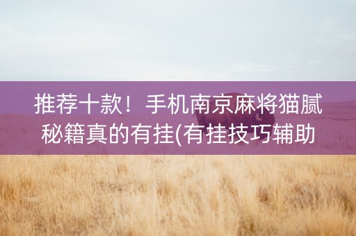 推荐十款！手机南京麻将猫腻秘籍真的有挂(有挂技巧辅助器)