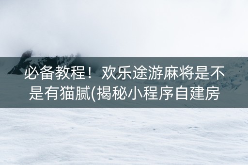 必备教程！欢乐途游麻将是不是有猫腻(揭秘小程序自建房怎么赢)