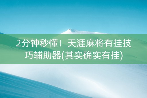 2分钟秒懂！天涯麻将有挂技巧辅助器(其实确实有挂)