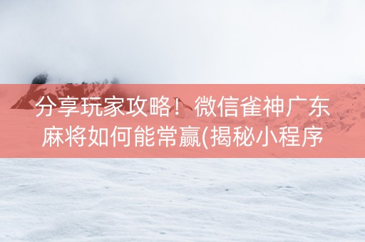 分享玩家攻略！微信雀神广东麻将如何能常赢(揭秘小程序助手软件)