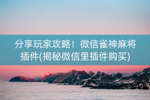 分享玩家攻略！微信雀神麻将插件(揭秘微信里插件购买)