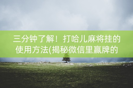 三分钟了解！打哈儿麻将挂的使用方法(揭秘微信里赢牌的技巧)