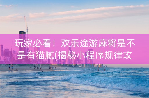 玩家必看！欢乐途游麻将是不是有猫腻(揭秘小程序规律攻略)