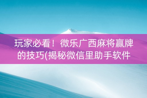 玩家必看！微乐广西麻将赢牌的技巧(揭秘微信里助手软件)