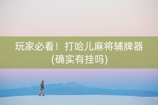玩家必看！打哈儿麻将辅牌器(确实有挂吗)