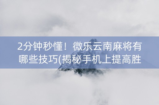 2分钟秒懂！微乐云南麻将有哪些技巧(揭秘手机上提高胜率)