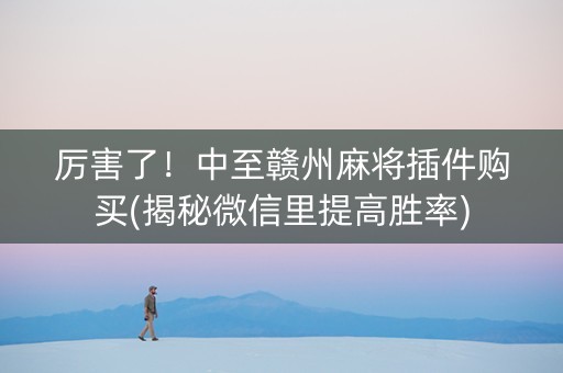 厉害了！中至赣州麻将插件购买(揭秘微信里提高胜率)
