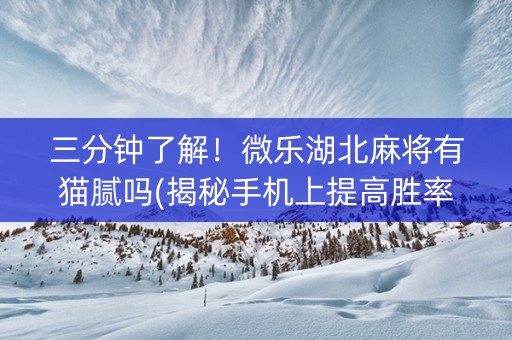 三分钟了解！微乐湖北麻将有猫腻吗(揭秘手机上提高胜率)