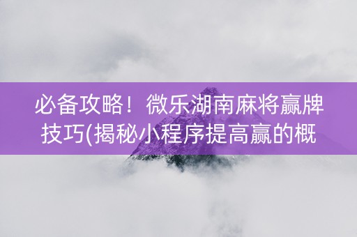 必备攻略！微乐湖南麻将赢牌技巧(揭秘小程序提高赢的概率)