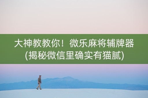 大神教教你！微乐麻将辅牌器(揭秘微信里确实有猫腻)