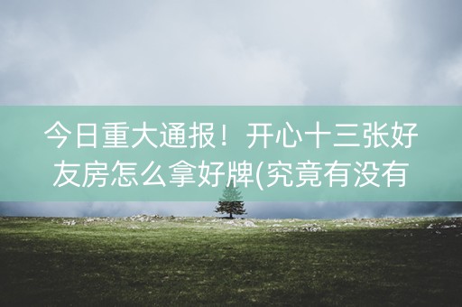 今日重大通报！开心十三张好友房怎么拿好牌(究竟有没有挂)