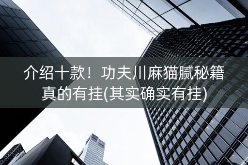 介绍十款！功夫川麻猫腻秘籍真的有挂(其实确实有挂)