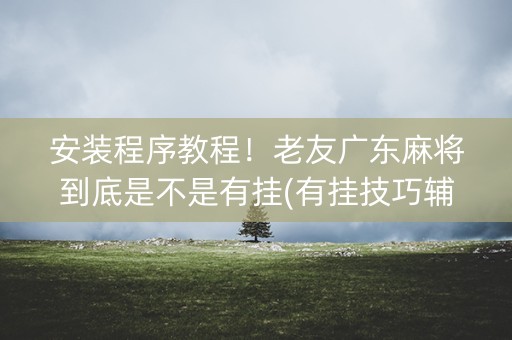 安装程序教程！老友广东麻将到底是不是有挂(有挂技巧辅助器)