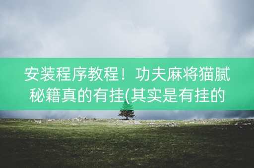 安装程序教程！功夫麻将猫腻秘籍真的有挂(其实是有挂的)