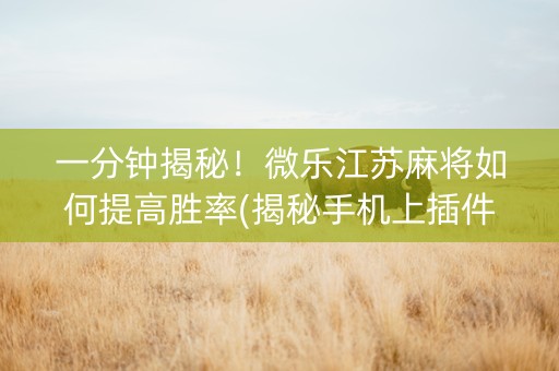 一分钟揭秘！微乐江苏麻将如何提高胜率(揭秘手机上插件免费)