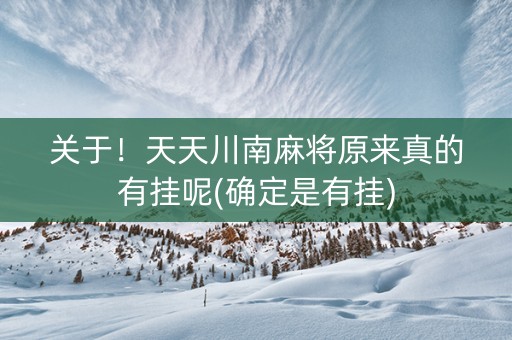 关于！天天川南麻将原来真的有挂呢(确定是有挂)