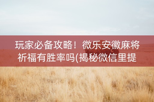 玩家必备攻略！微乐安徽麻将祈福有胜率吗(揭秘微信里提高胜率)