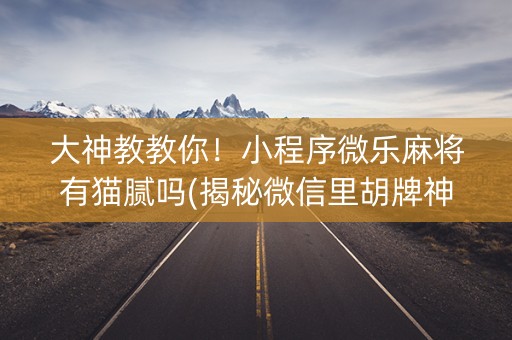 大神教教你！小程序微乐麻将有猫腻吗(揭秘微信里胡牌神器)