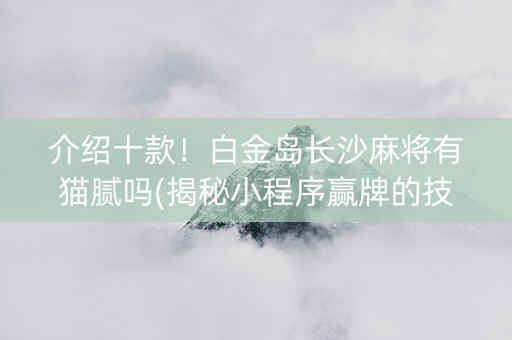 介绍十款！白金岛长沙麻将有猫腻吗(揭秘小程序赢牌的技巧)