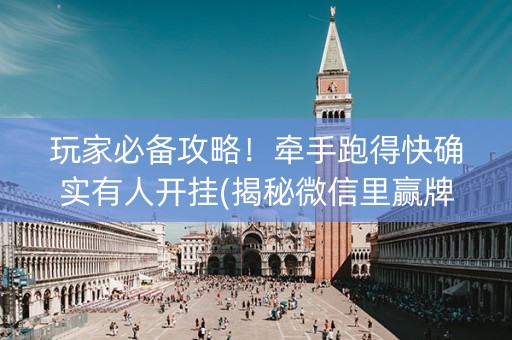 玩家必备攻略！牵手跑得快确实有人开挂(揭秘微信里赢牌的技巧)