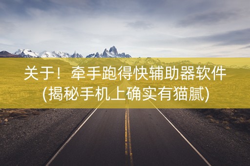 关于！牵手跑得快辅助器软件(揭秘手机上确实有猫腻)