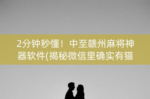 2分钟秒懂！中至赣州麻将神器软件(揭秘微信里确实有猫腻)