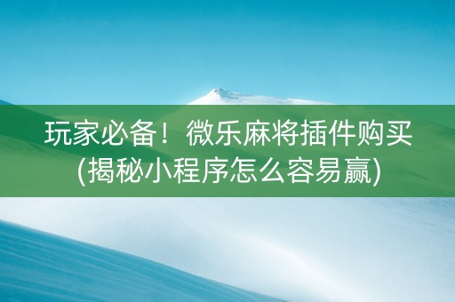 玩家必备！微乐麻将插件购买(揭秘小程序怎么容易赢)