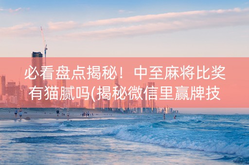 必看盘点揭秘！中至麻将比奖有猫腻吗(揭秘微信里赢牌技巧)