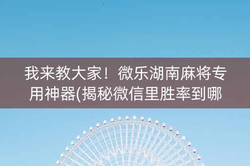 我来教大家！微乐湖南麻将专用神器(揭秘微信里胜率到哪调)