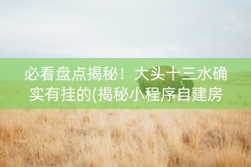必看盘点揭秘！大头十三水确实有挂的(揭秘小程序自建房怎么赢)