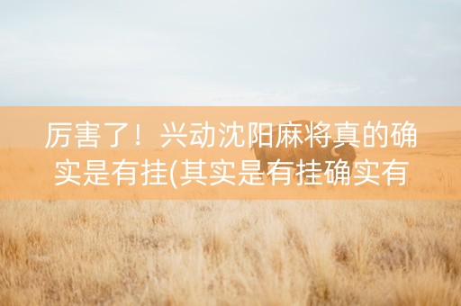 厉害了！兴动沈阳麻将真的确实是有挂(其实是有挂确实有挂)