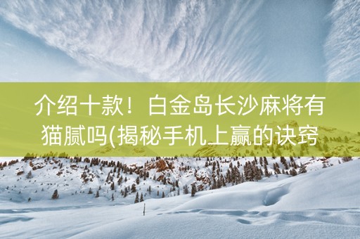 介绍十款！白金岛长沙麻将有猫腻吗(揭秘手机上赢的诀窍)