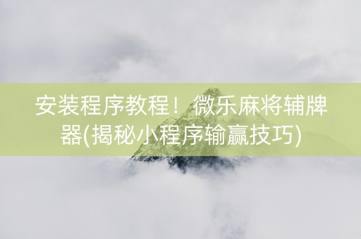 安装程序教程！微乐麻将辅牌器(揭秘小程序输赢技巧)