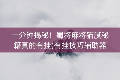 一分钟揭秘！蜀将麻将猫腻秘籍真的有挂(有挂技巧辅助器)
