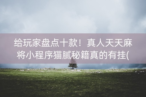 给玩家盘点十款！真人天天麻将小程序猫腻秘籍真的有挂(真的有挂确实有挂)