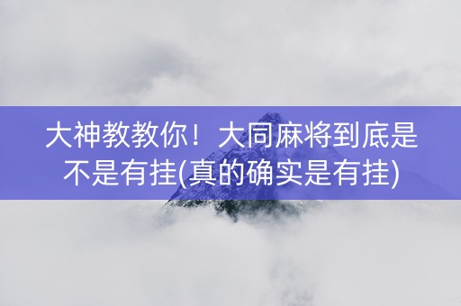 大神教教你！大同麻将到底是不是有挂(真的确实是有挂)