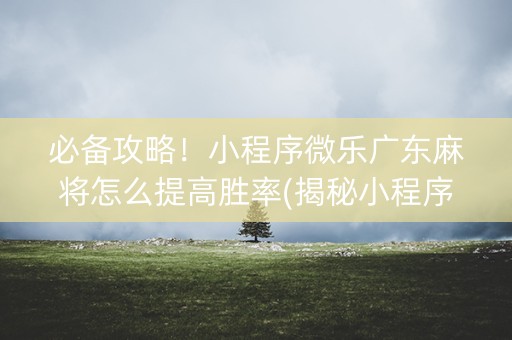 必备攻略！小程序微乐广东麻将怎么提高胜率(揭秘小程序赢牌技巧)