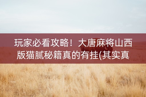 玩家必看攻略！大唐麻将山西版猫腻秘籍真的有挂(其实真的确实有挂)