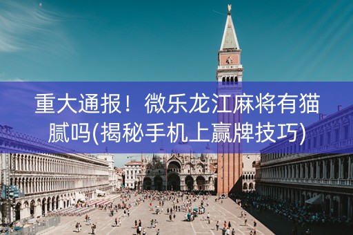 重大通报！微乐龙江麻将有猫腻吗(揭秘手机上赢牌技巧)
