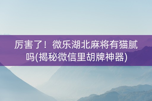 厉害了！微乐湖北麻将有猫腻吗(揭秘微信里胡牌神器)