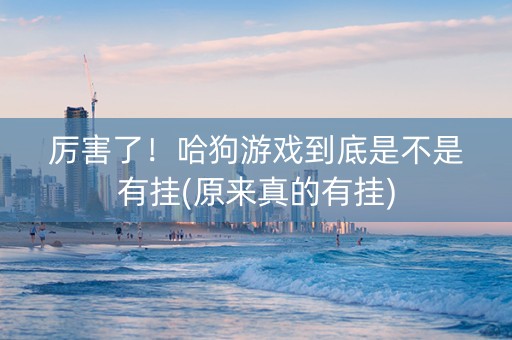 厉害了！哈狗游戏到底是不是有挂(原来真的有挂)
