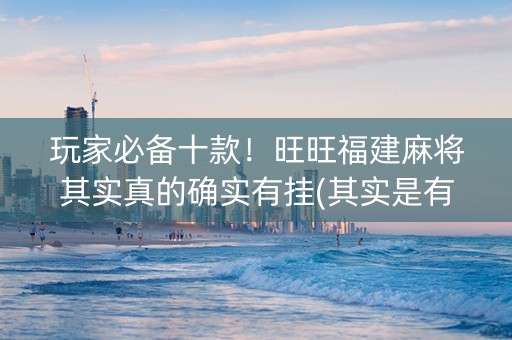 玩家必备十款！旺旺福建麻将其实真的确实有挂(其实是有挂确实有挂)